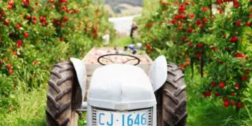 Tractor-in-orchard-150dpi