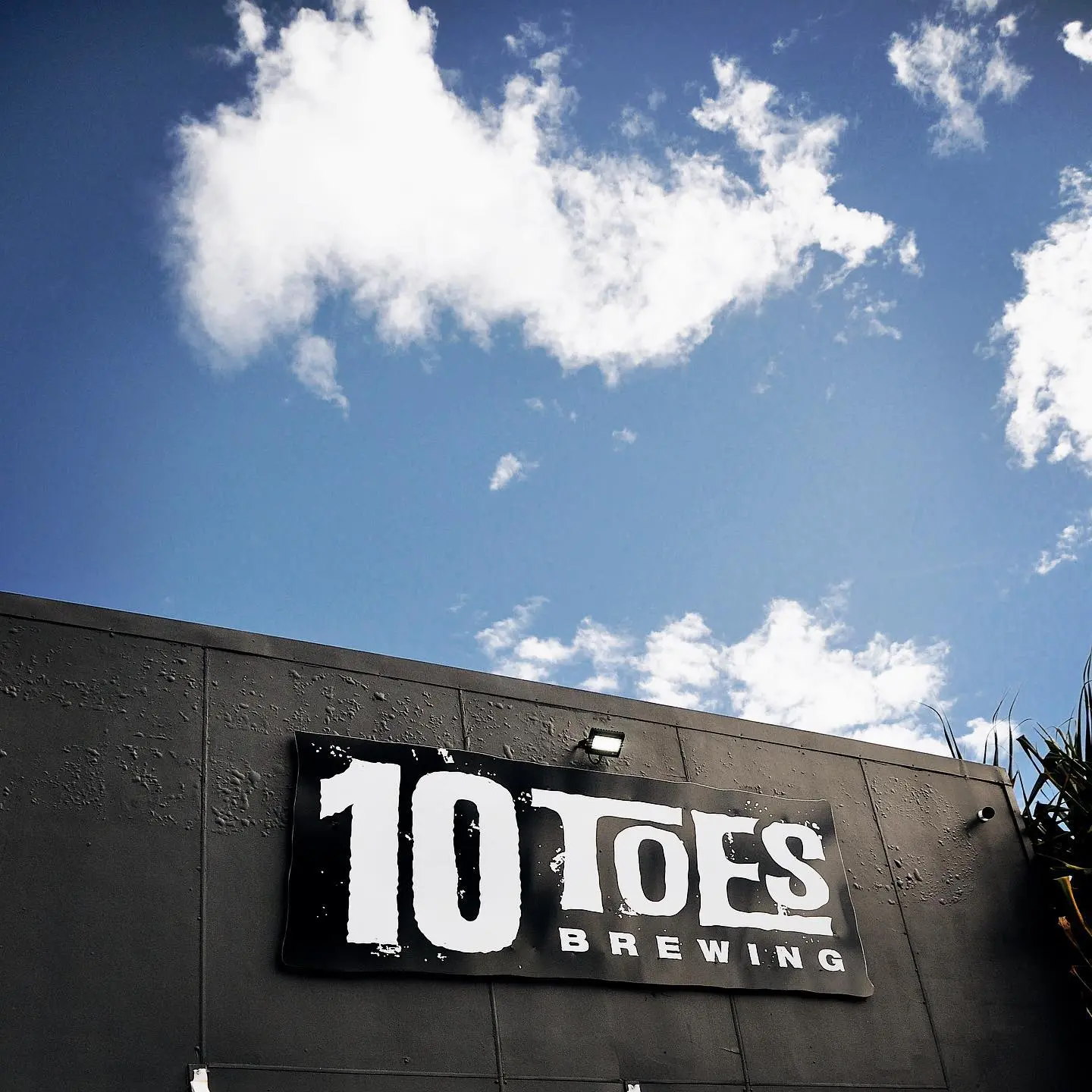 10 toes brewing 1