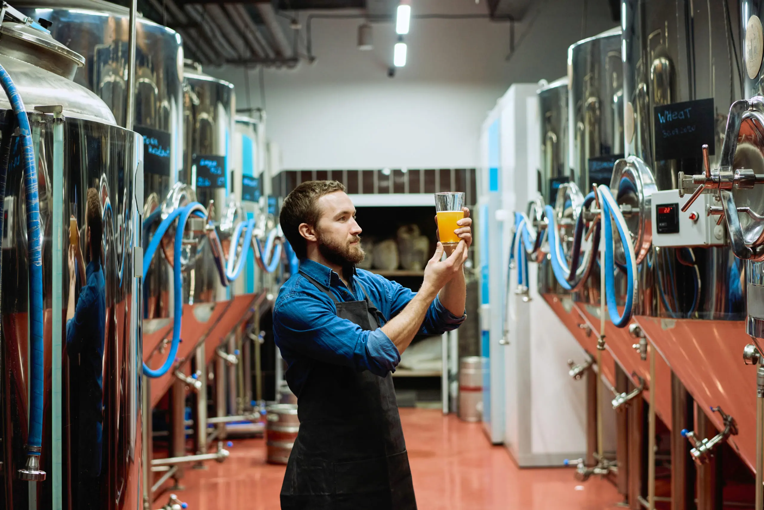 Young,Bearded,Brewery,Worker,With,Glass,Of,Beer,Evaluating,Its