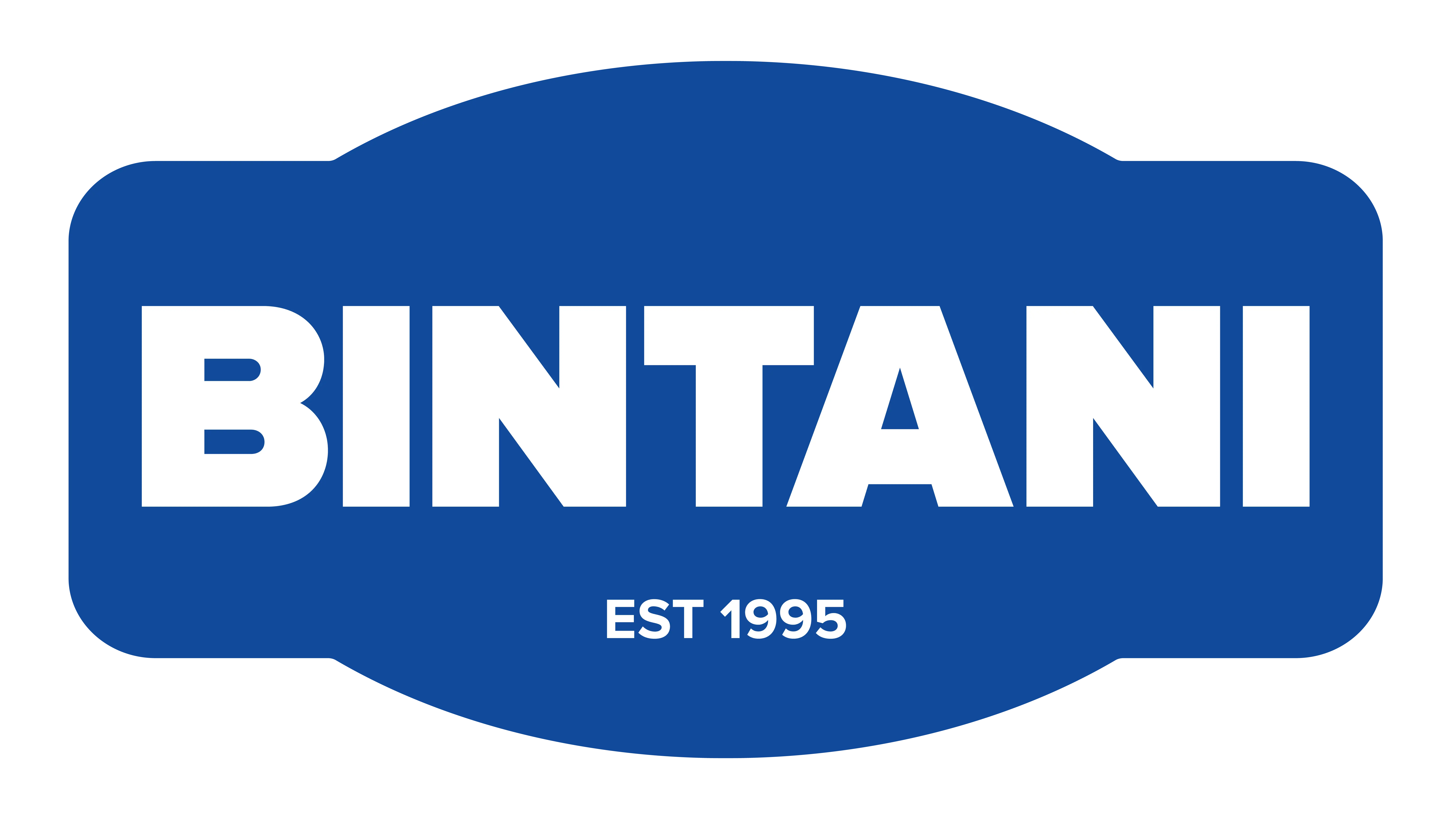 NEW Bintani_Logo_Primary