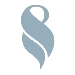 Boiler Combustion Services logo