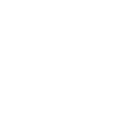 bribie_island_logo_2x.png