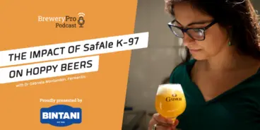 BreweryPro - SafeAle K-97